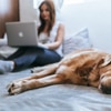 Bol.com online bestellen